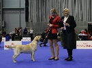 DUO CACIB Brno - CAJC, BOJ - judge: Mary ODonoghue 