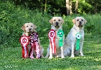 Katie, Adélka and Flynn