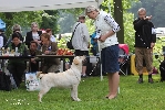 13 months - at club show Konopiště 2016